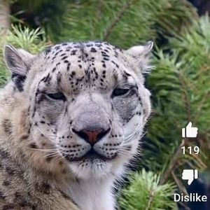 Meet your Posher, Javier